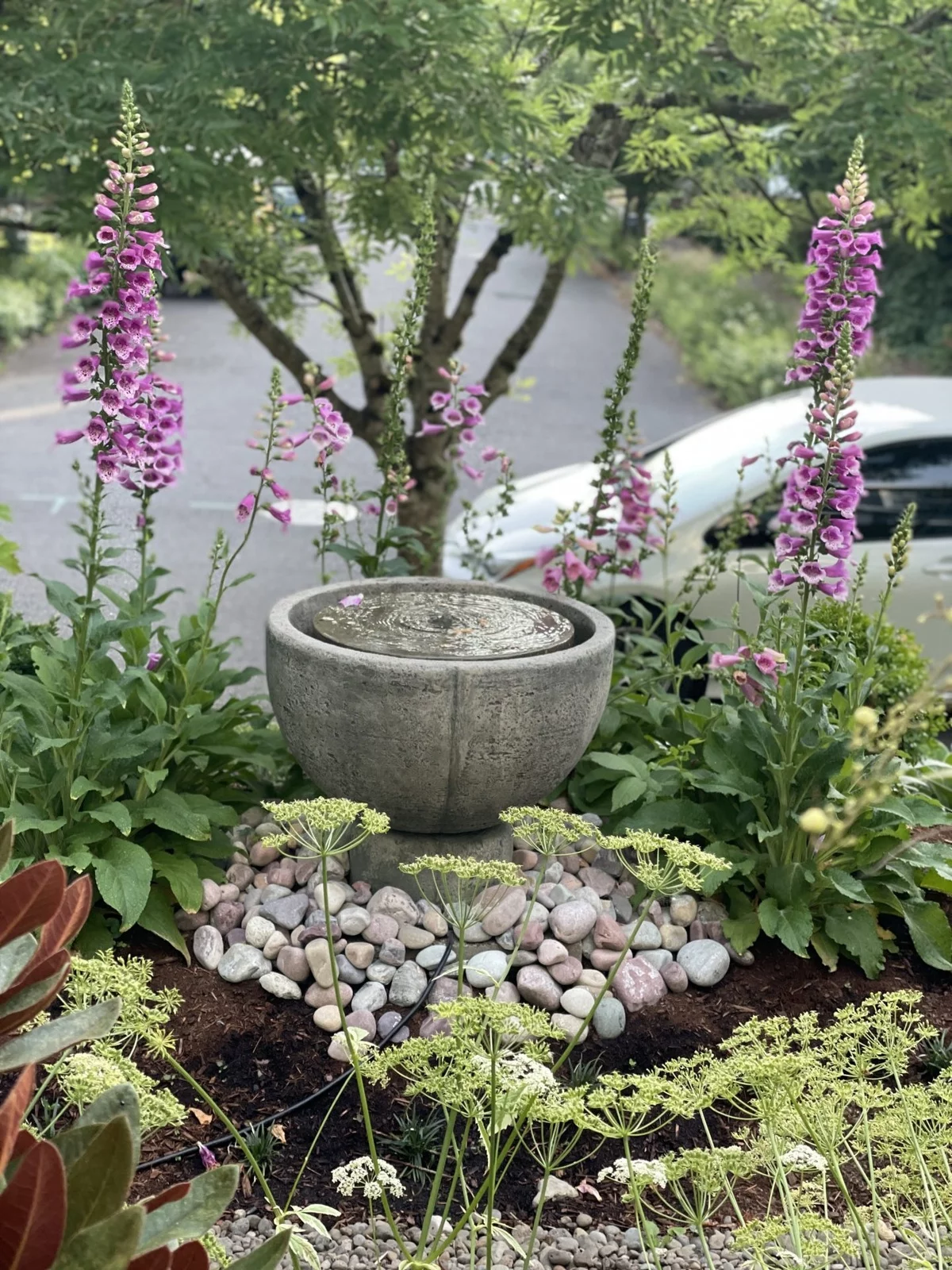 Vorgarten gestalten pflegeleicht mit Wasserbrunnen und Gartenblumen