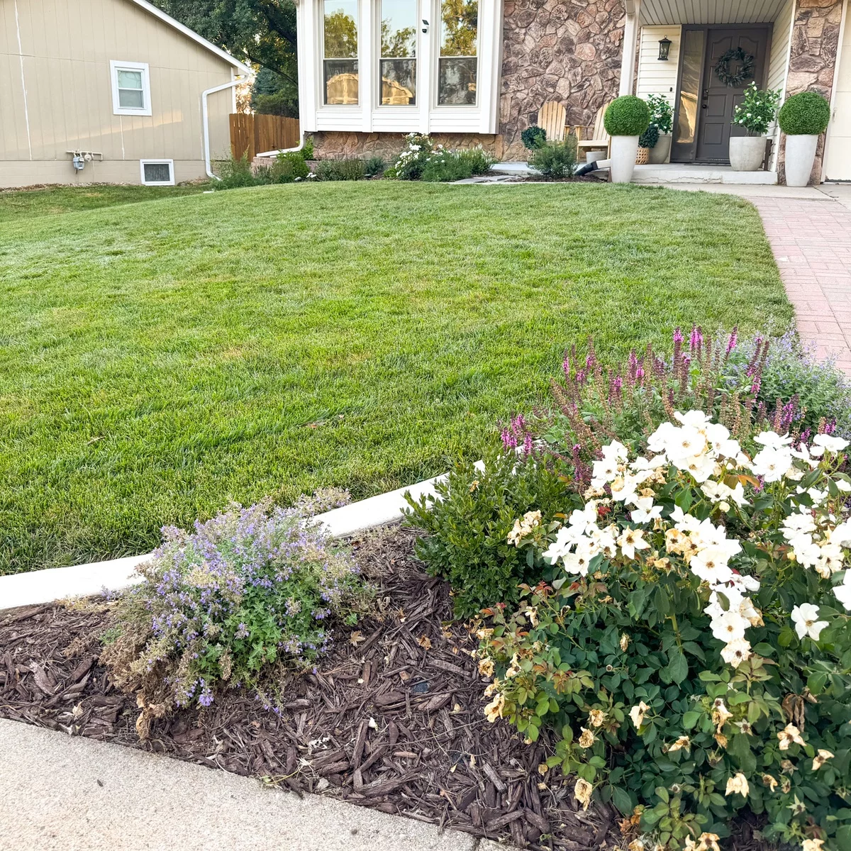 ein kleines Blumenbeet und Rasenfläche im Vorgarten gestalten