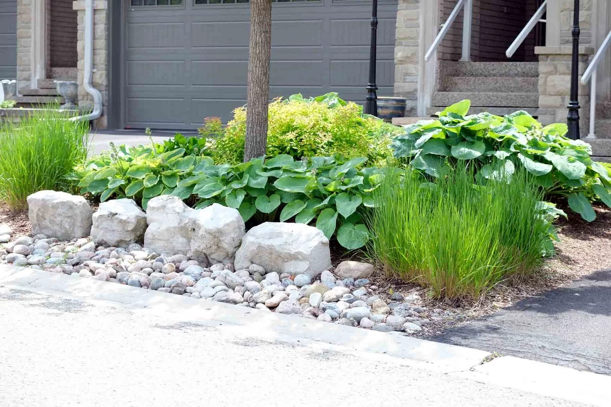 auch im Steingarten wachsen grüne Gartenpflanzen