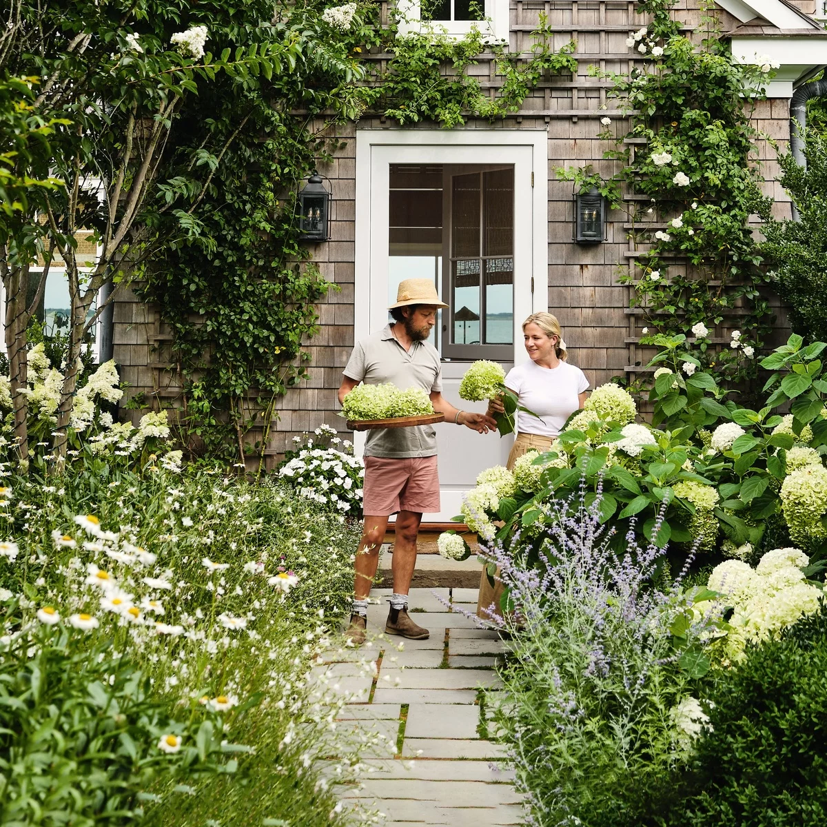 Mann und Frau schneiden weiße Hortensien