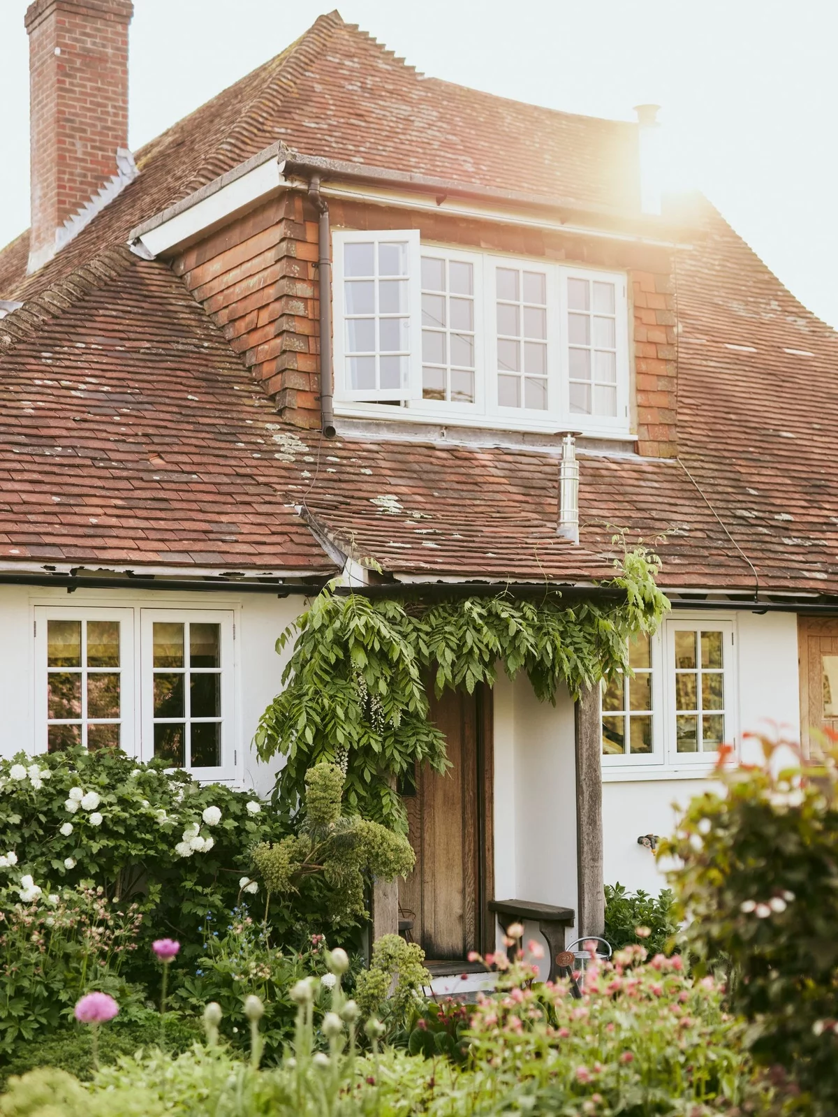 der Vorgarten kann auch ein Naturgarten sein