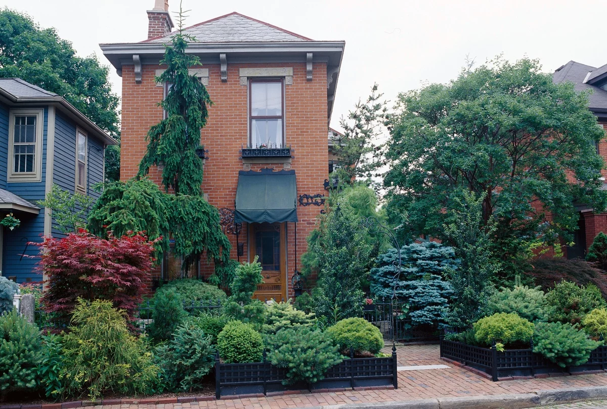 üppiges Grün zeichnet diesen Vorgarten aus