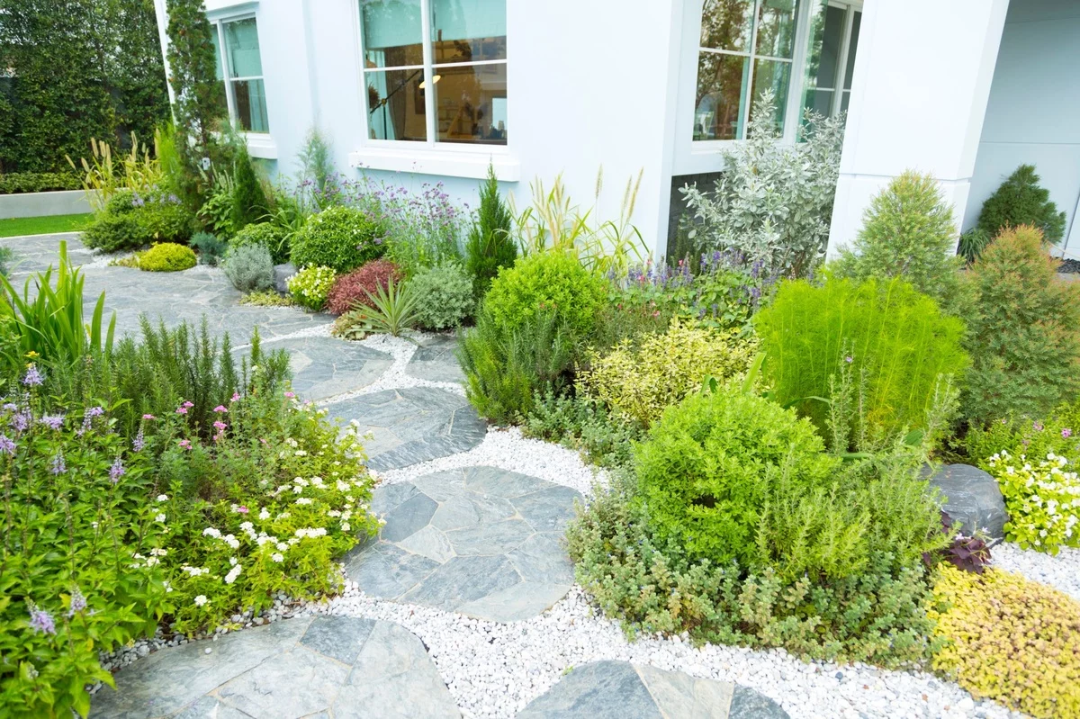 der Gartenweg ist von üppigen grünen Pflanzen umrahmt