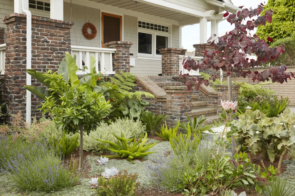viel üppiges Grün lässt jeden Garten natürlich schön aussehen