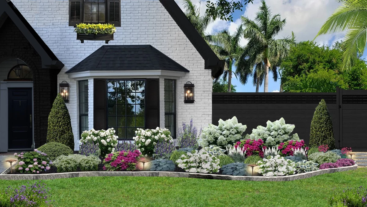 weiße Hortesien und Thujen schmücken den Vorgarten