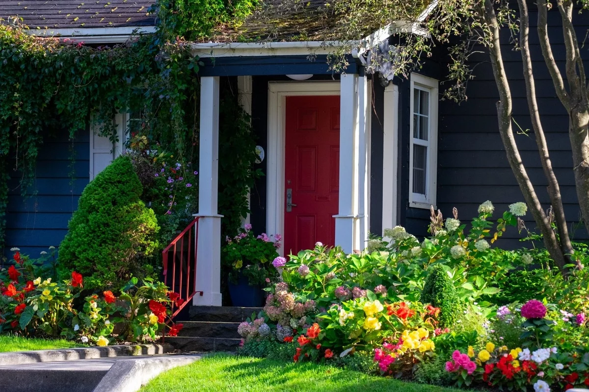 den Vorgarten bepflanzen und prächtige Blumen dort pflegen