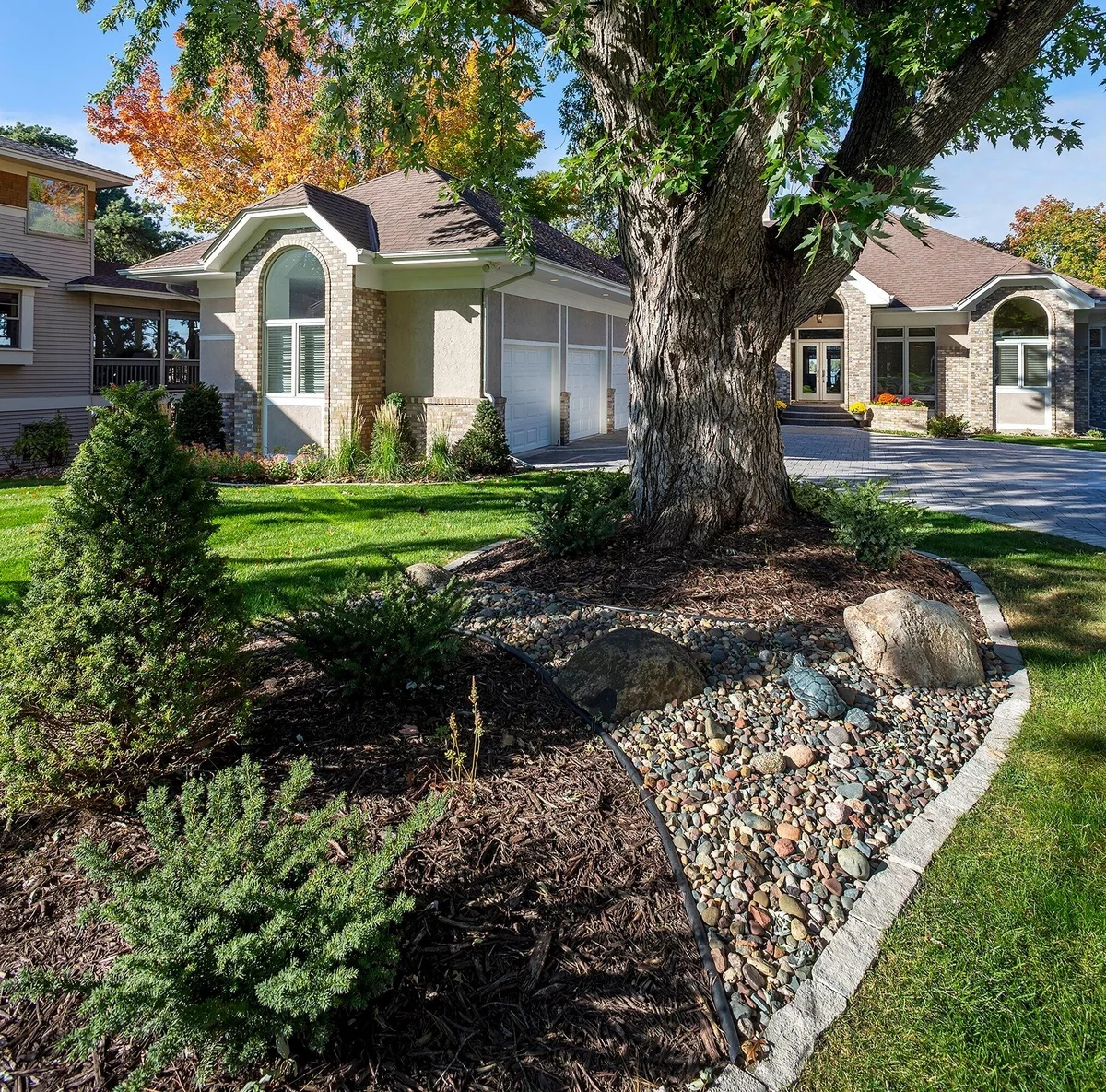 ein dicker Baum ist hier der Mittelpunkt - Vorgarten Ideen