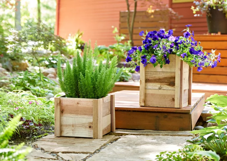 Blumen bringen mehr Farbe in den Garten
