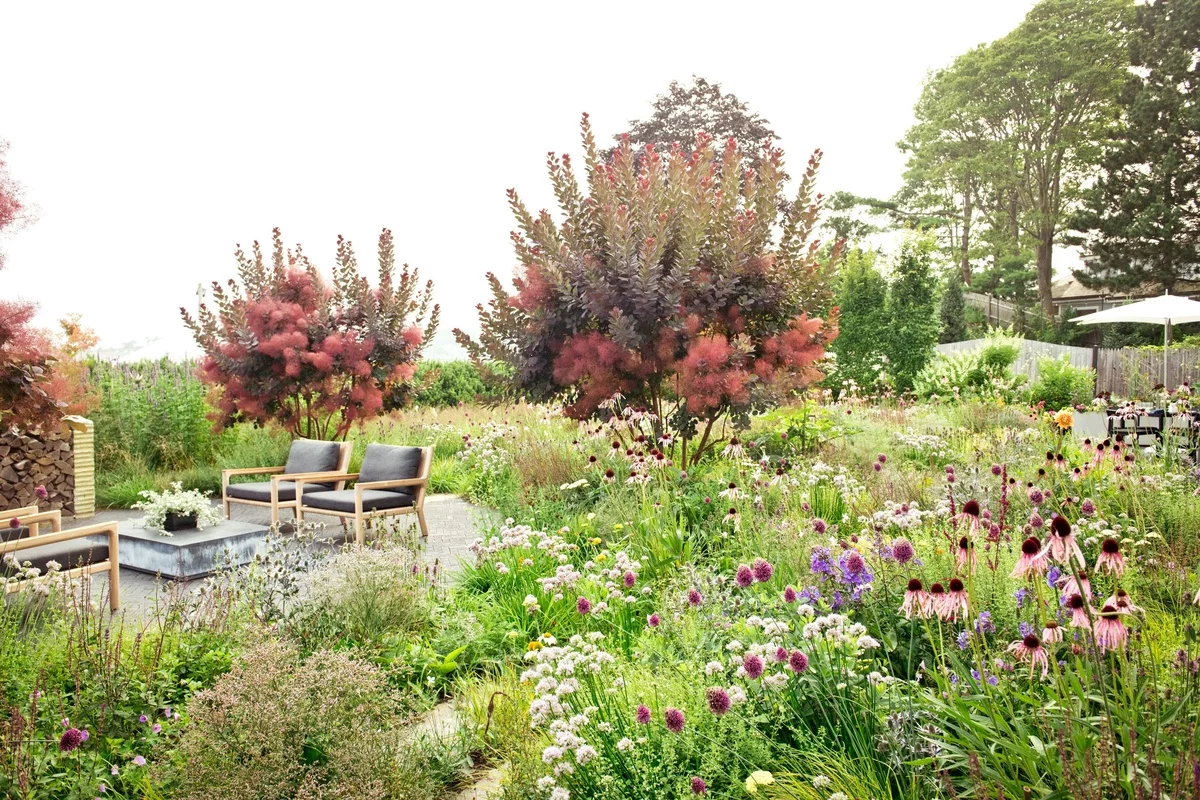 Naturgarten mit üppigen grünen Pflanzen - eine Sitzecke in der Mitte