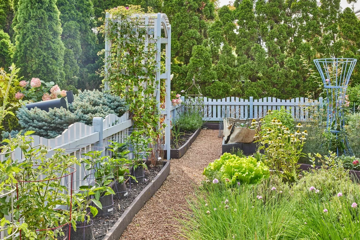 interessante Gartengestaltung - Gartenzaun und Spalier aus Holz