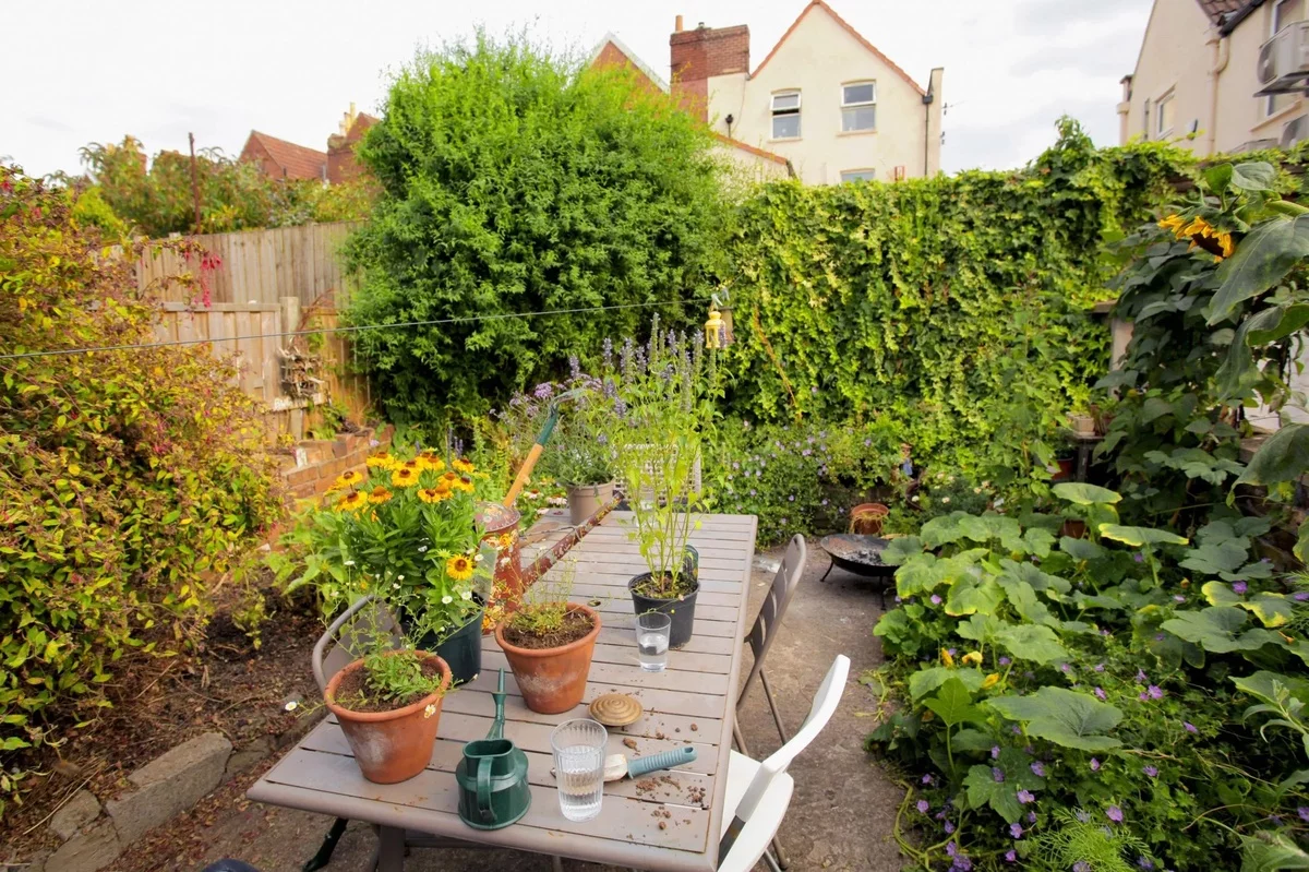 Naturgarten mit üppigen Pflanzen in der Stadt