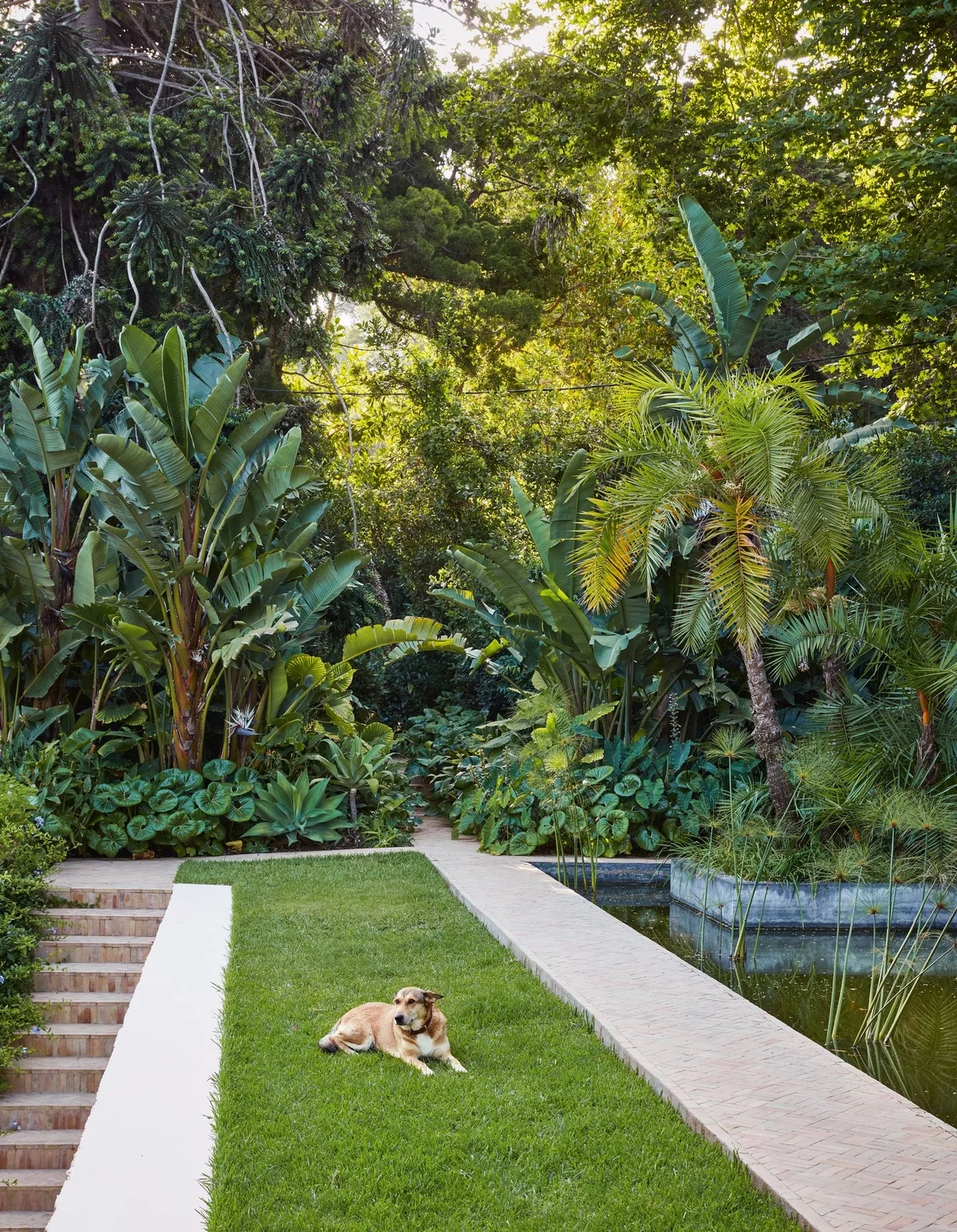 perfekte Gartengestaltung - gerade Linie der Wege und üppoge Grünpflanzen