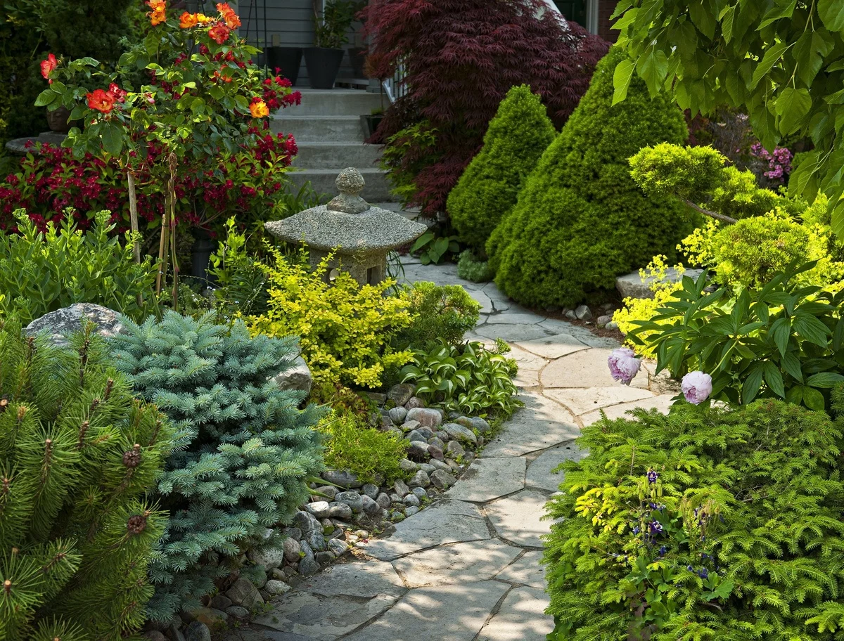 schön gestalteter Gartenweg mit Steinplatten belegt - ringsum viele grüne Pflanzen