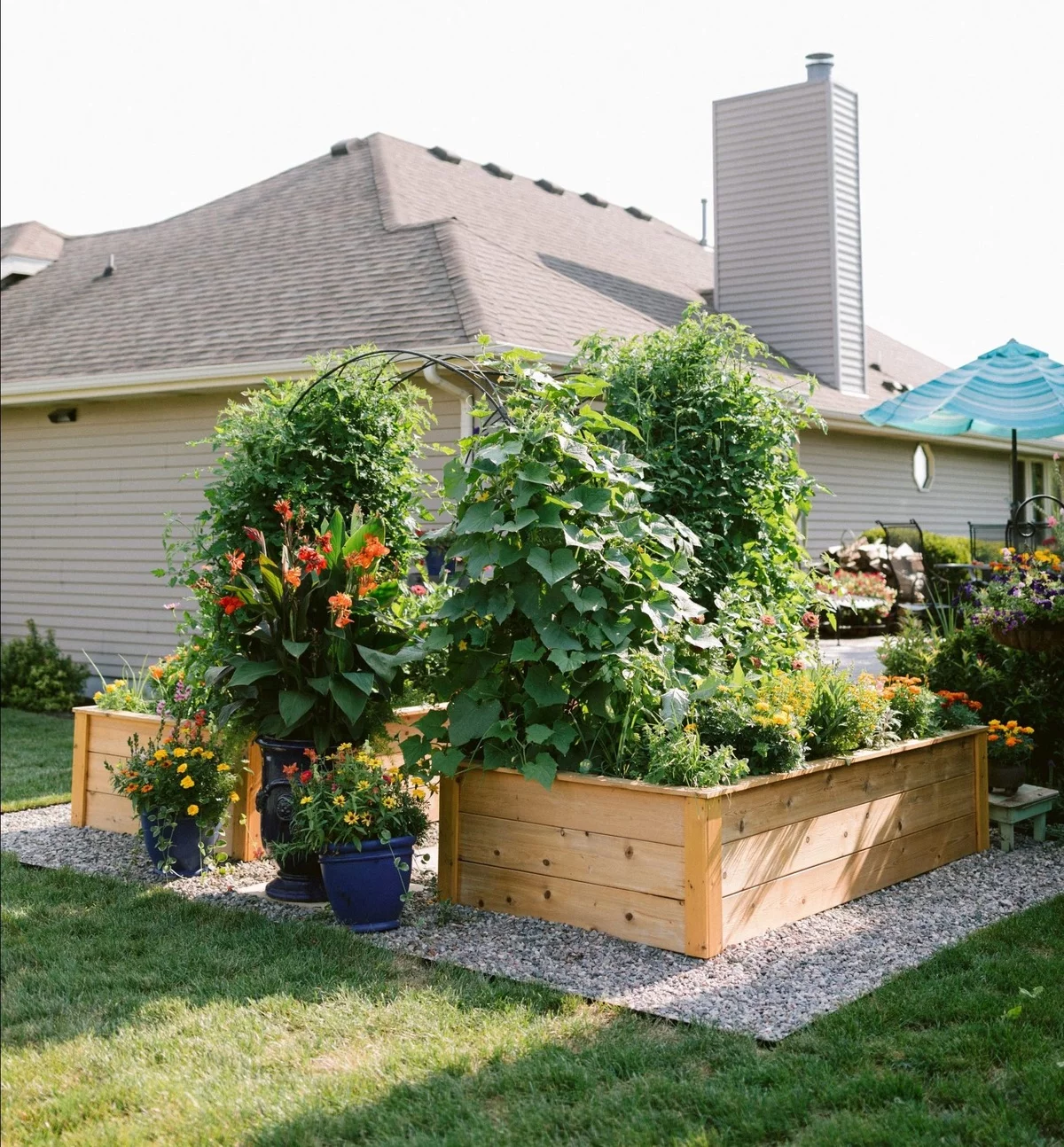 ein Hochbeet im Hinterhof mit blphenden und Grünpflanzen