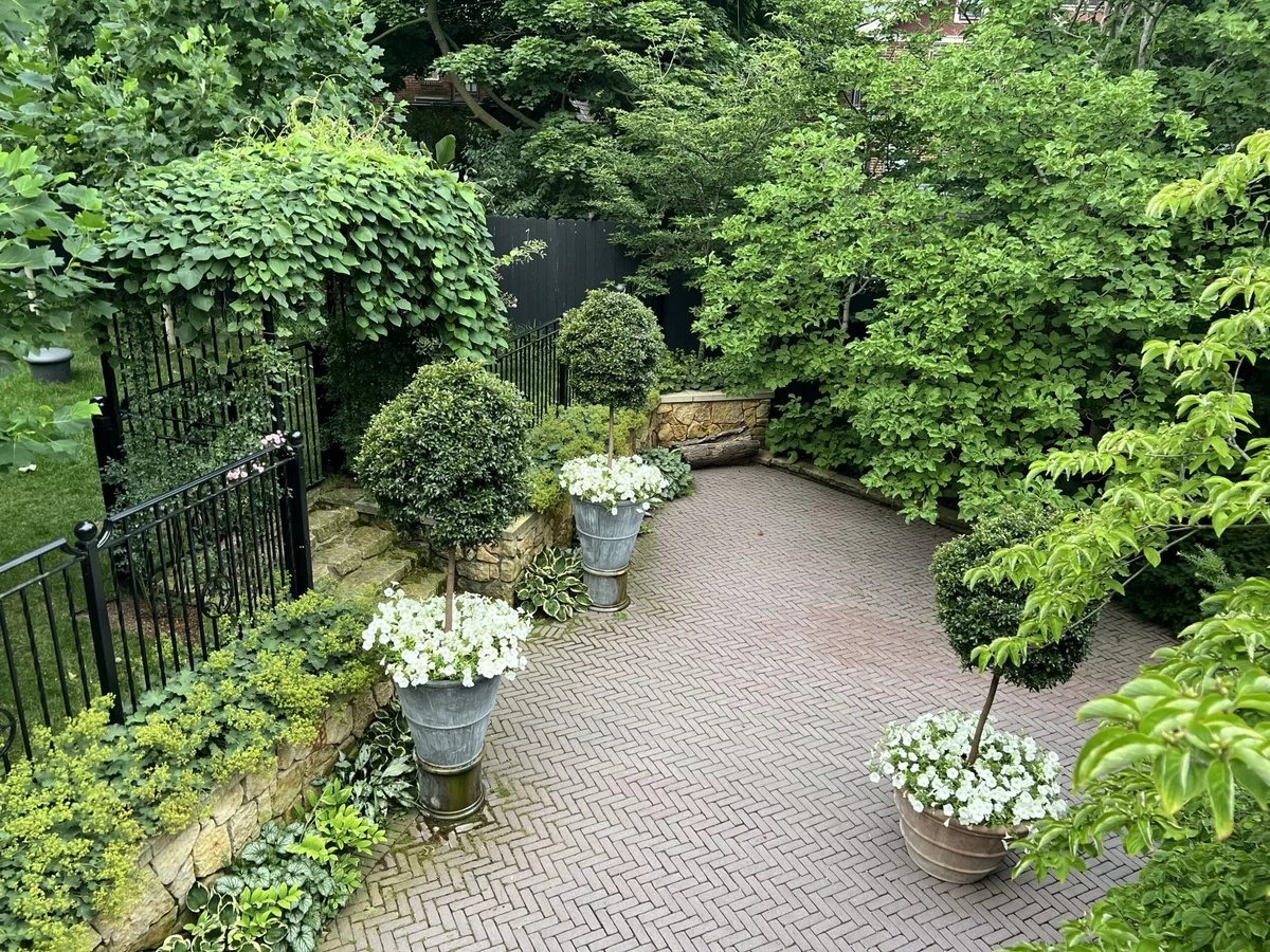 viele Pflanzen im Hinterhof verwandeln den Bereich in ein Naturparadies