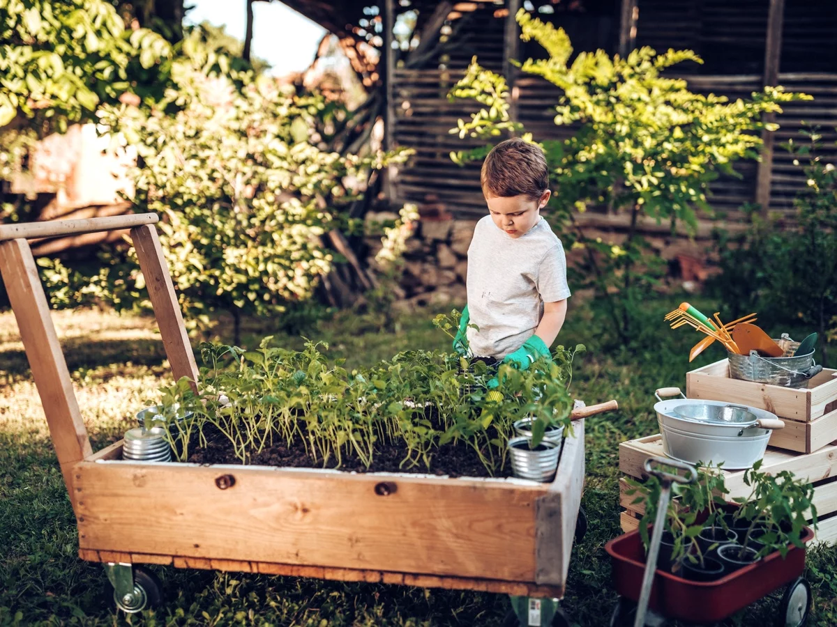 kleiner Junge neben einem Hochbeet
