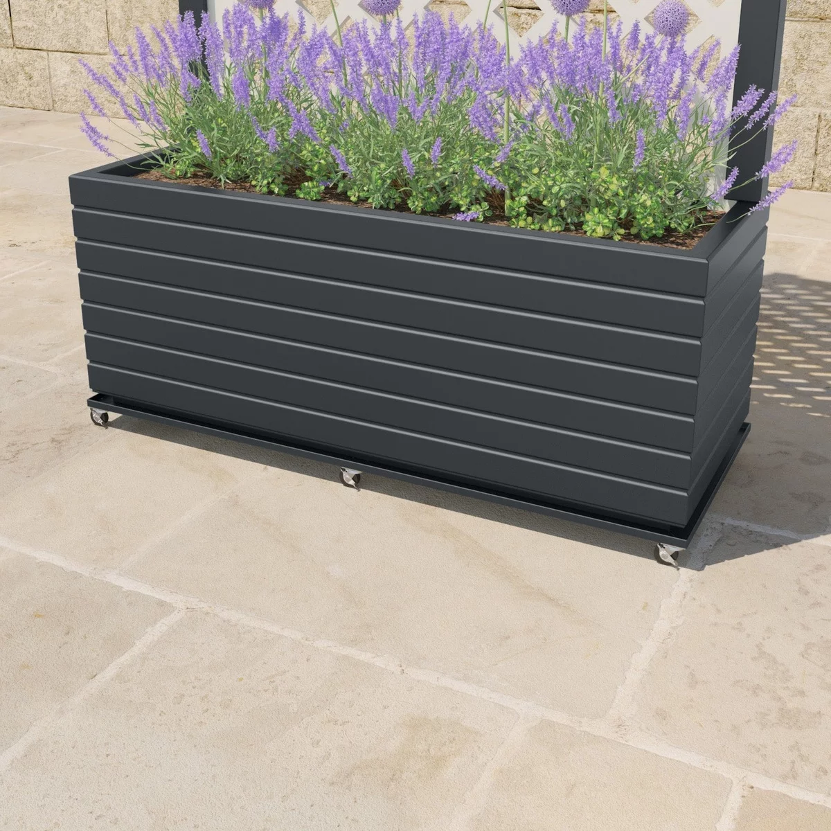 Lavendel Beet Ideen - ein Hochbeet mit Lavendel 