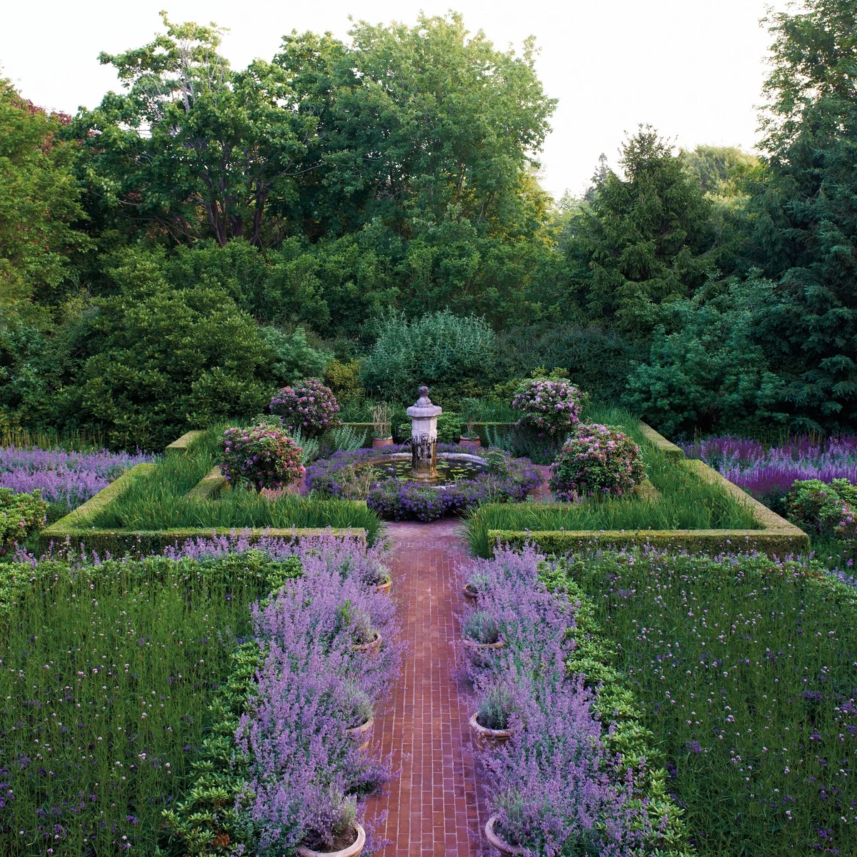 die schöne lila Farbe kommt von dem Lavendel im Beet