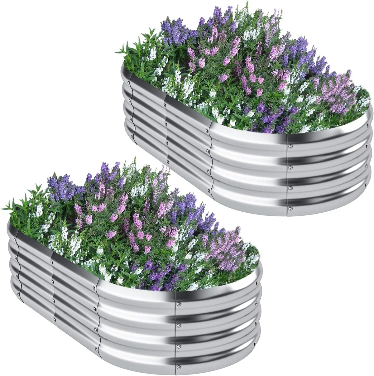 Lavendel in großen Pflanzgefäßen pflegen - Lavendel Beet Ideen 