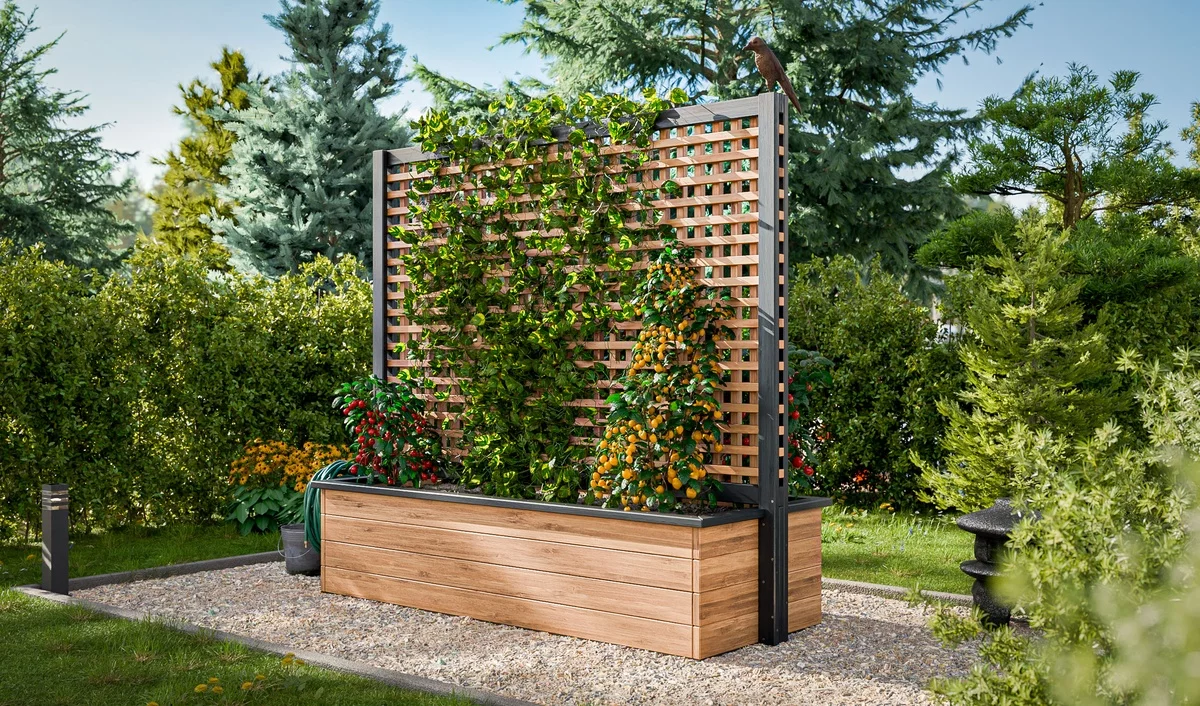 Rankhilfe für grüne Kletterpflanzen - Paravent im Garten einsetzen