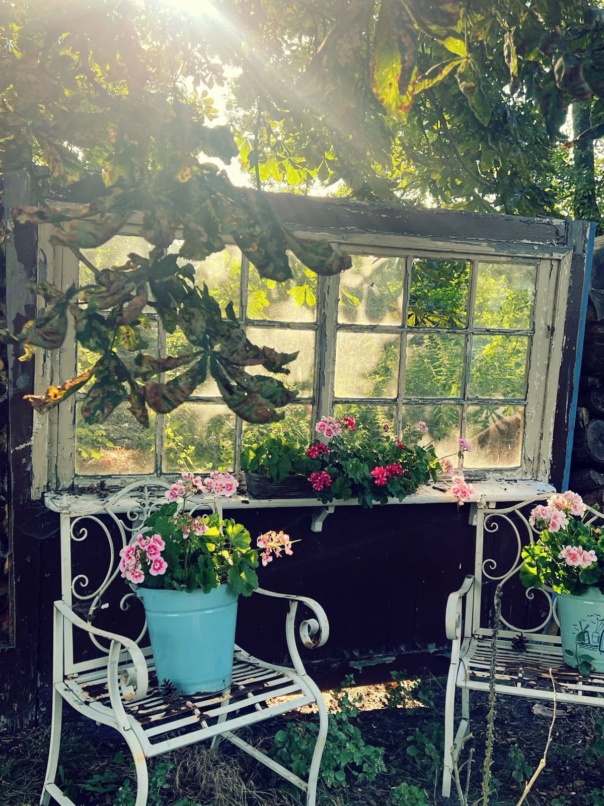 Vintage Stühle haben eine zweite Chance bekommen - Shabby Chic Garten 