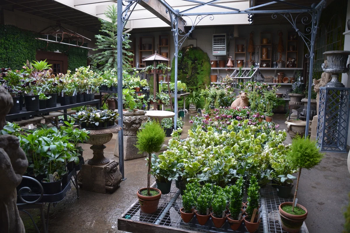 Gewächshaus mit vielen grünen Pflanzen 