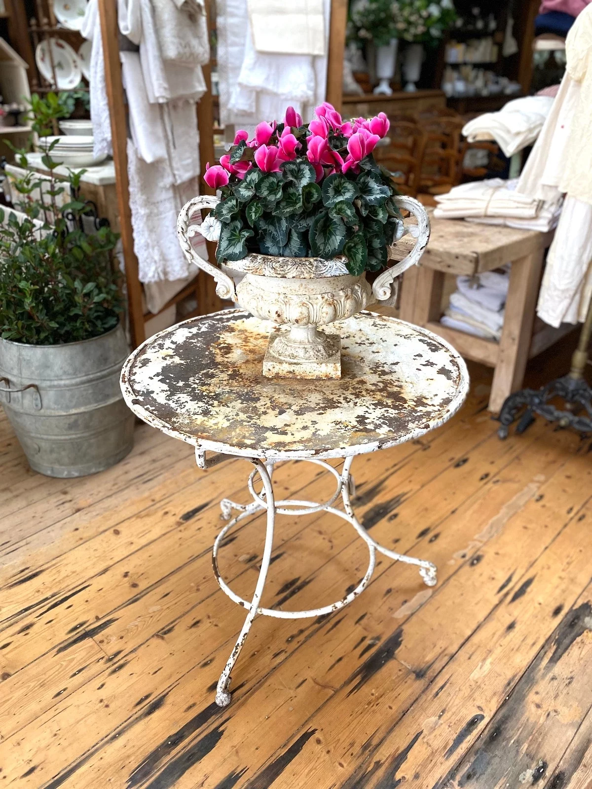 schöne Zyklame im alten Blumentopf auf altem Tisch 