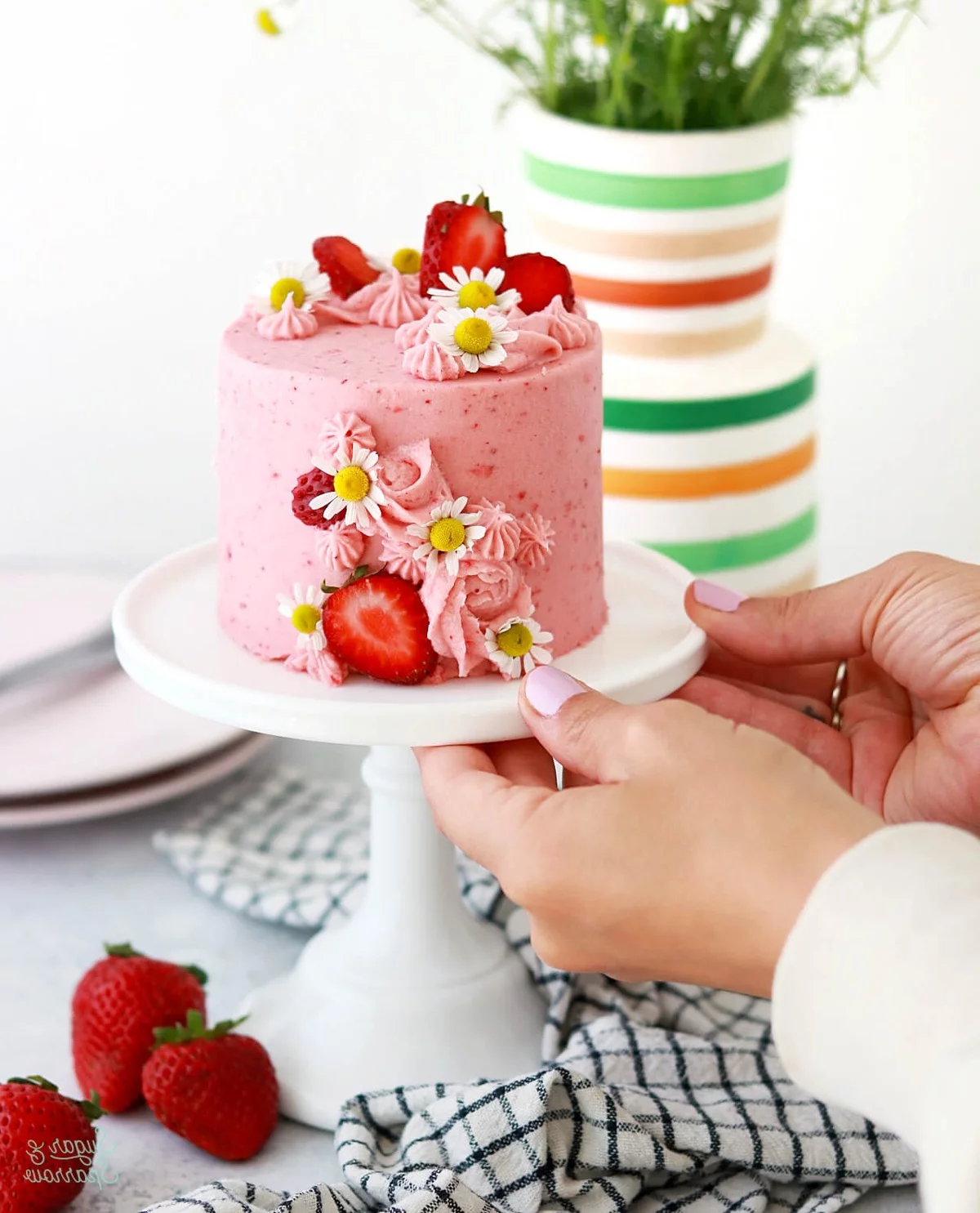 kleiner runder Erdbeerkuchen mit frischen Früchten und weißen Mageriten 