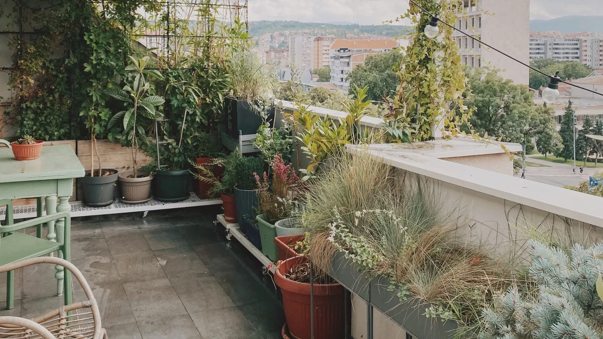 die Stadtterrasse mit vielen Pflanzgefäßen und schönen Pflanzen schmücken