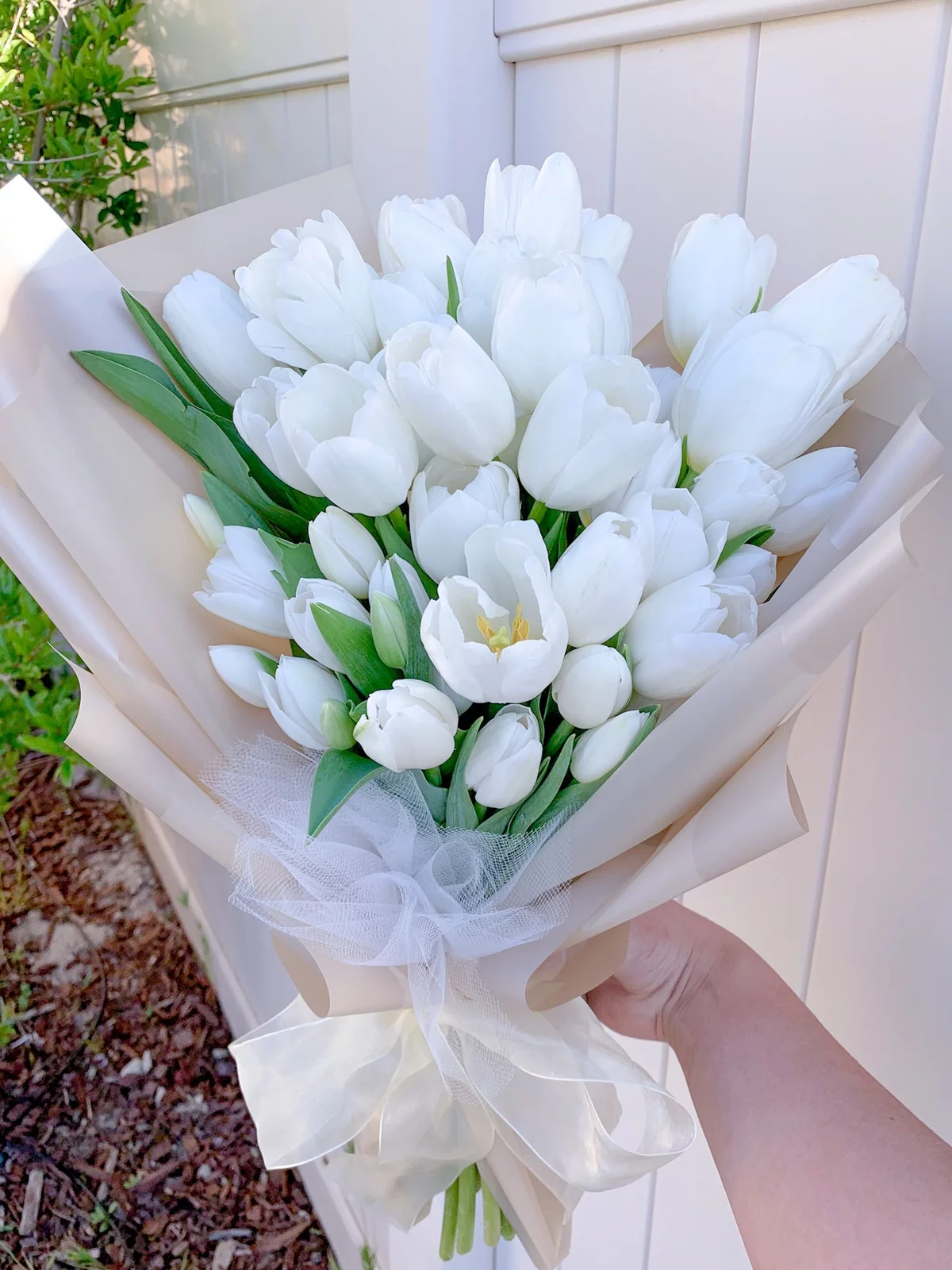 weiße Tulpen zum Brautstrauß gebunden