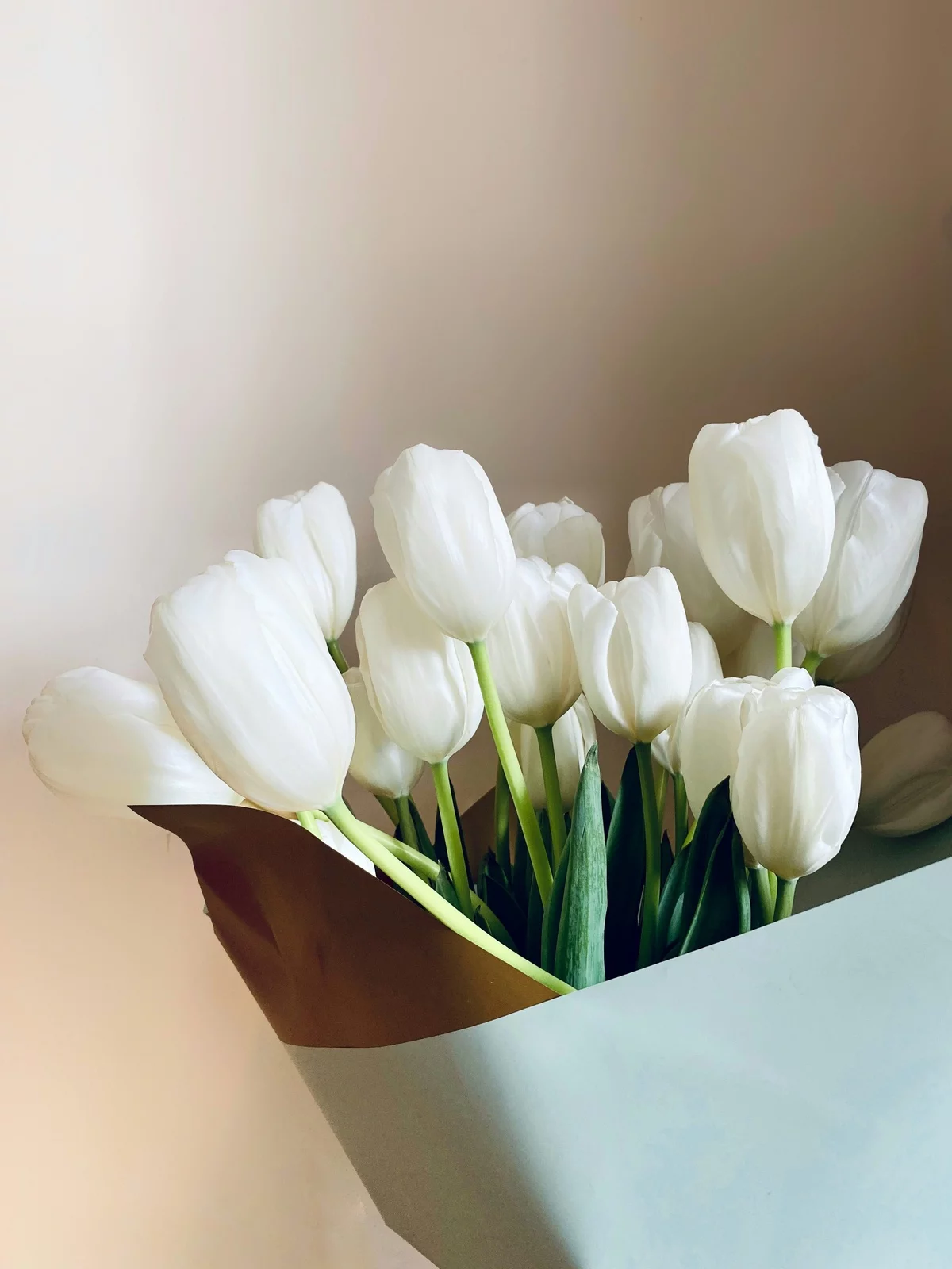 schöne weiße Tulpen im Bouquet - natürliche Schönheit