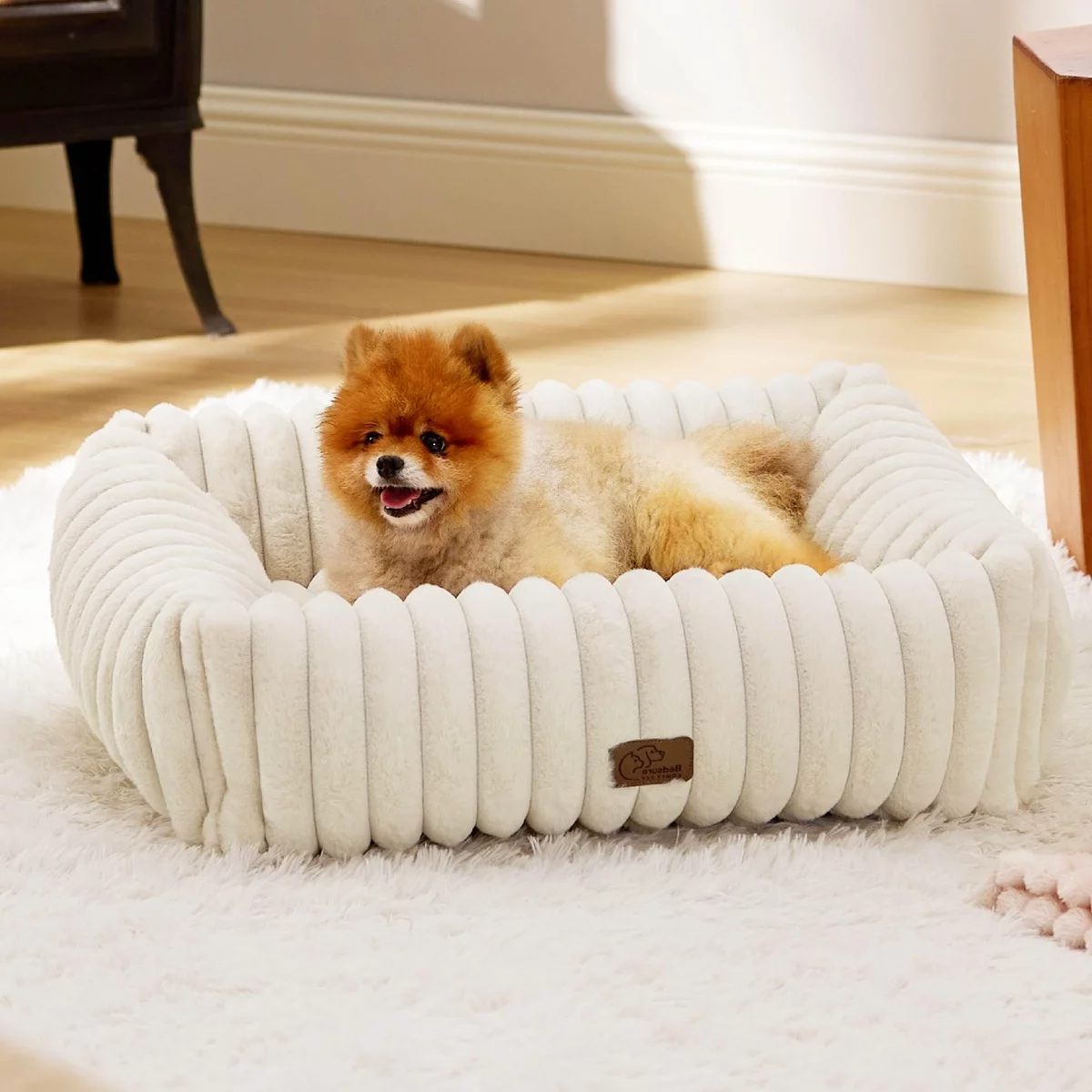 süßer Welpe im Hundebett zu Hause