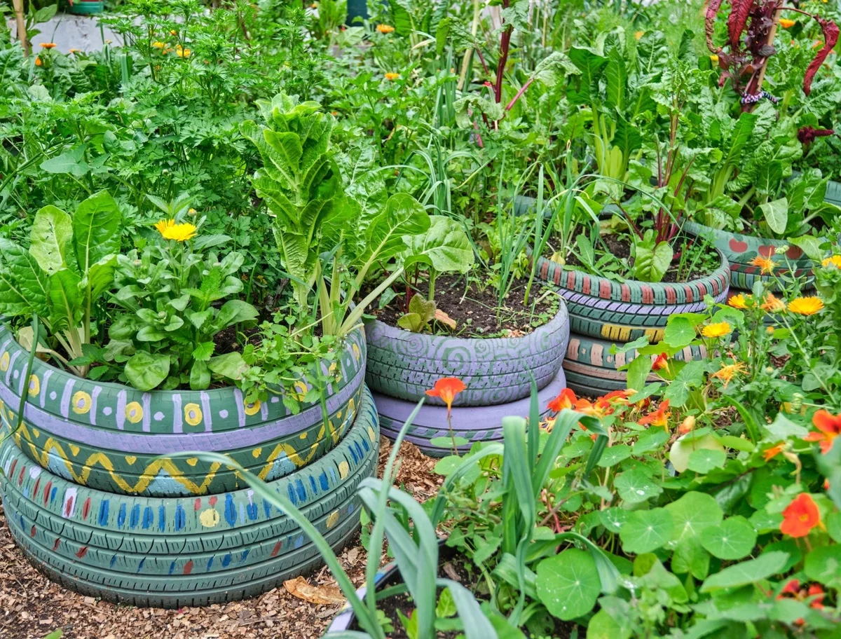 Garten Upcycling Ideen - alte Autoreifen als Gemüsebeete 