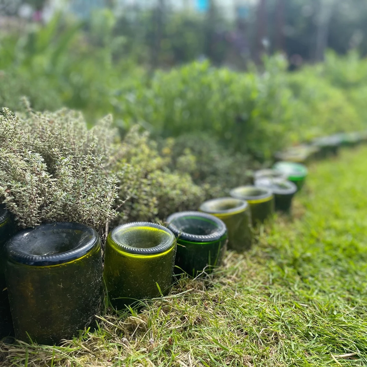 alte Plastik Container als Rasengrenze - Garten Upcycling Ideen