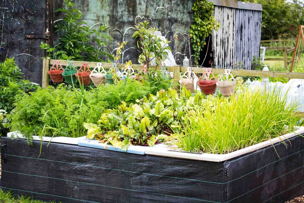 Garten Upcycling Ideen - Hochbeet mit Gemüse 