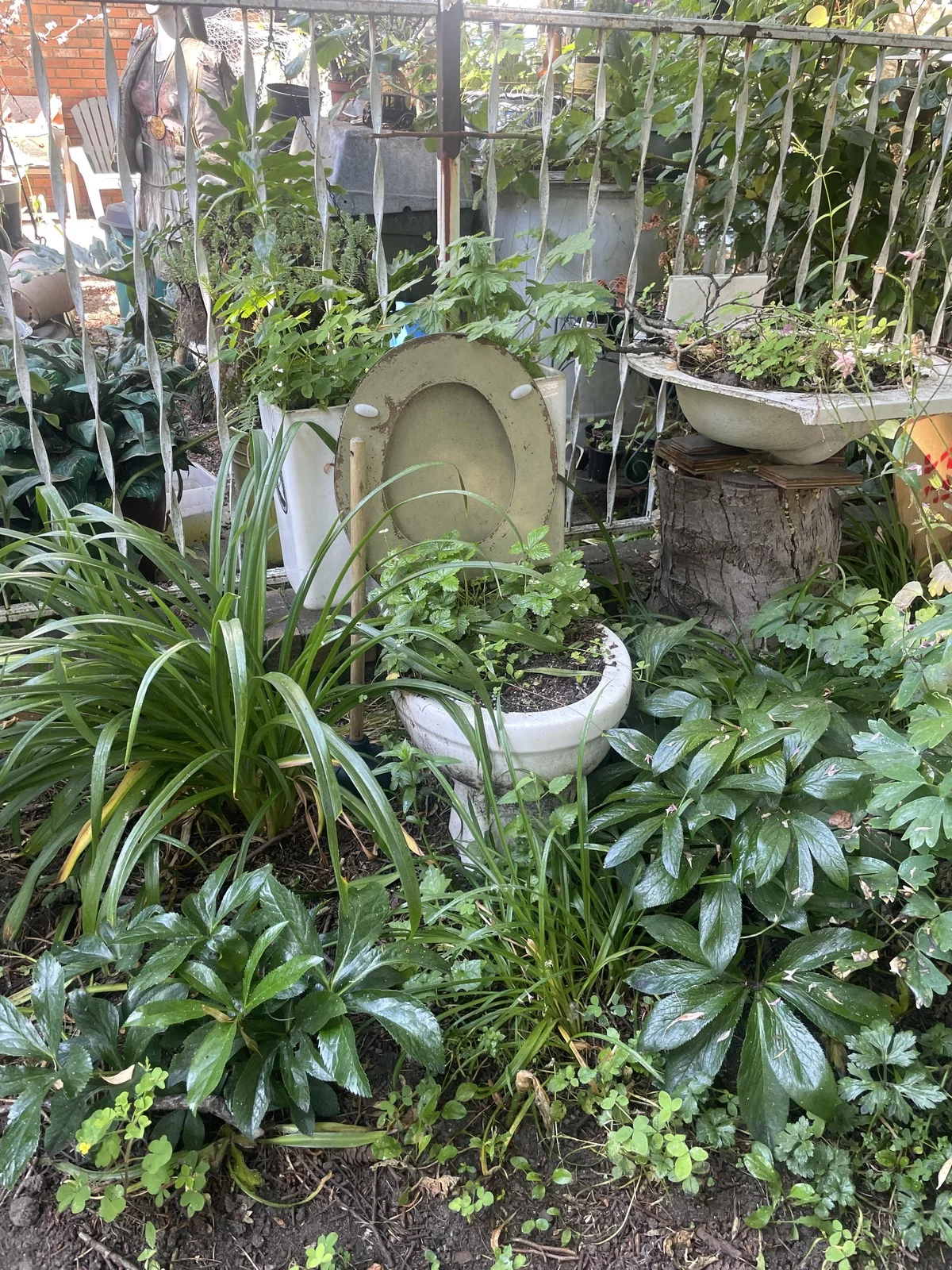 alte WC Schüssel als Blumentopf im Garten benutzen - Garten Upcycling Ideen