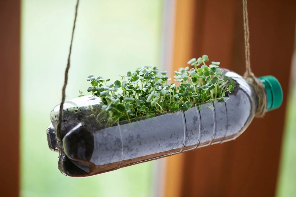 alte Plastikflasche als hängender Topf mit Kräutern - Garten Upcycling Ideen