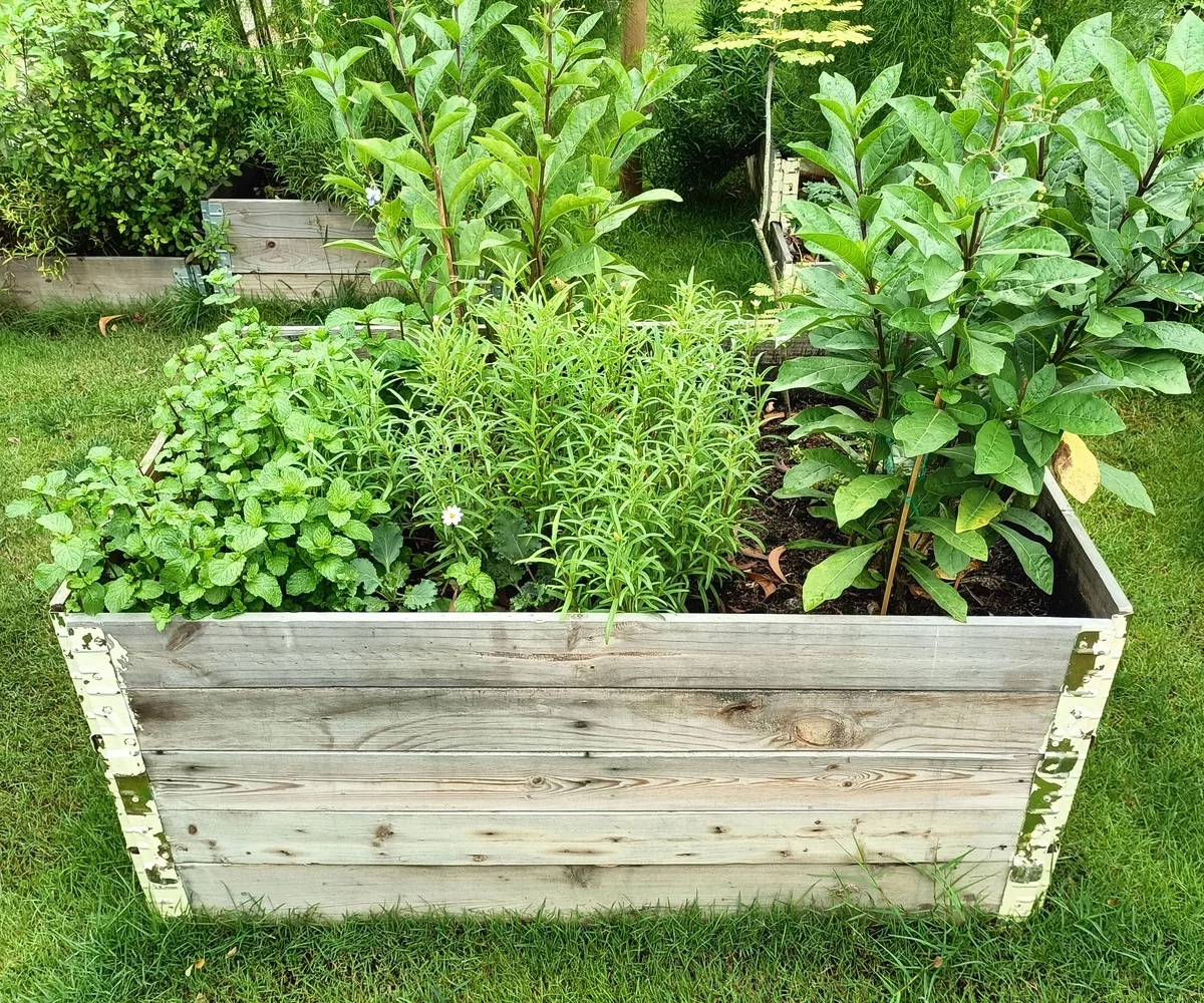Hochbeet aus altem Holzmaterial bauen für Küchenkräuter