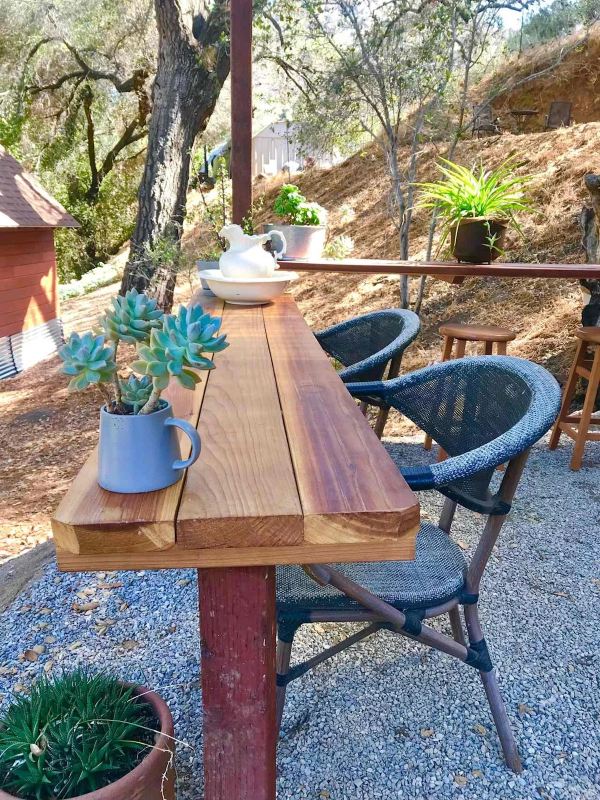 langer Holztisch im Freien mit Sukkulenten dekoriert - Deko Terrassentisch