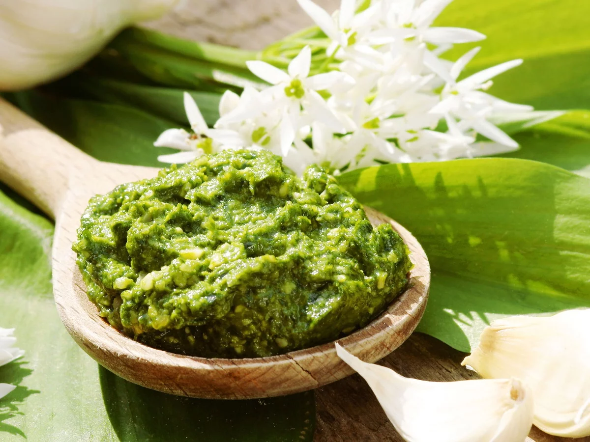 die Bärlauch Blätter vor der Blüte sammeln und Bärlauch Pesto selber machen 