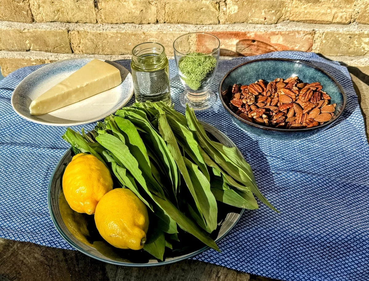 nötige Zutaten für Bärlauch Pesto - grüne Blätterm Kerne, Parmesan, Olivenöl, Kerne