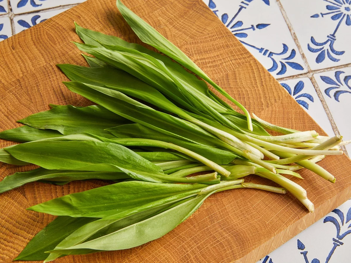 gesunde Wildpflanze mit grünen Blätter - Bärlauch 