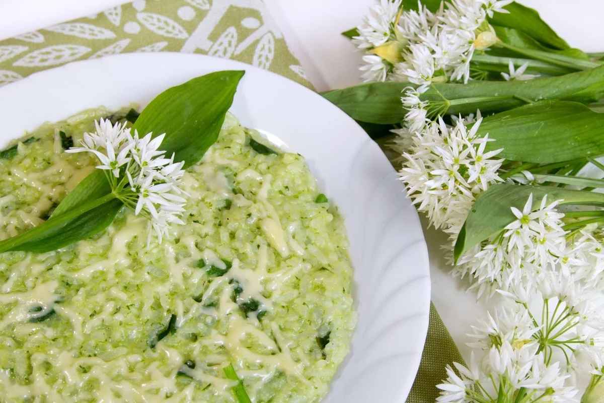 Bärlauch Rezepte - eine pikante Suppe zubereiten 