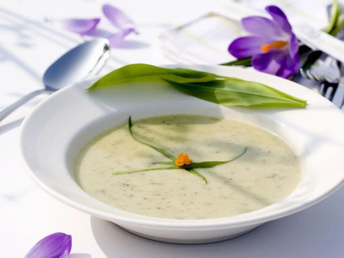 gesunde Bärlauchsuppe im Suppenteller fein serviert