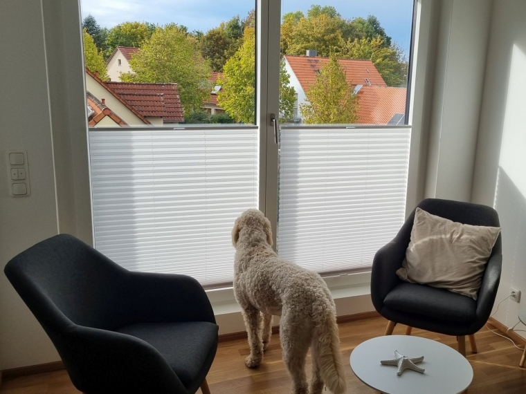 Plissee nach Maß ikann man in jedem Raum haben