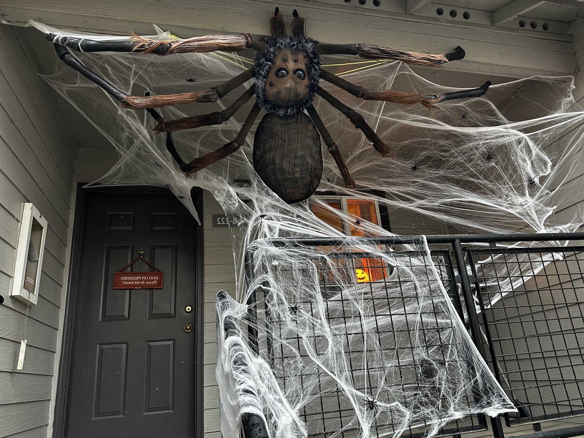 Große Spinne und ihr Netz - gruselige Deko