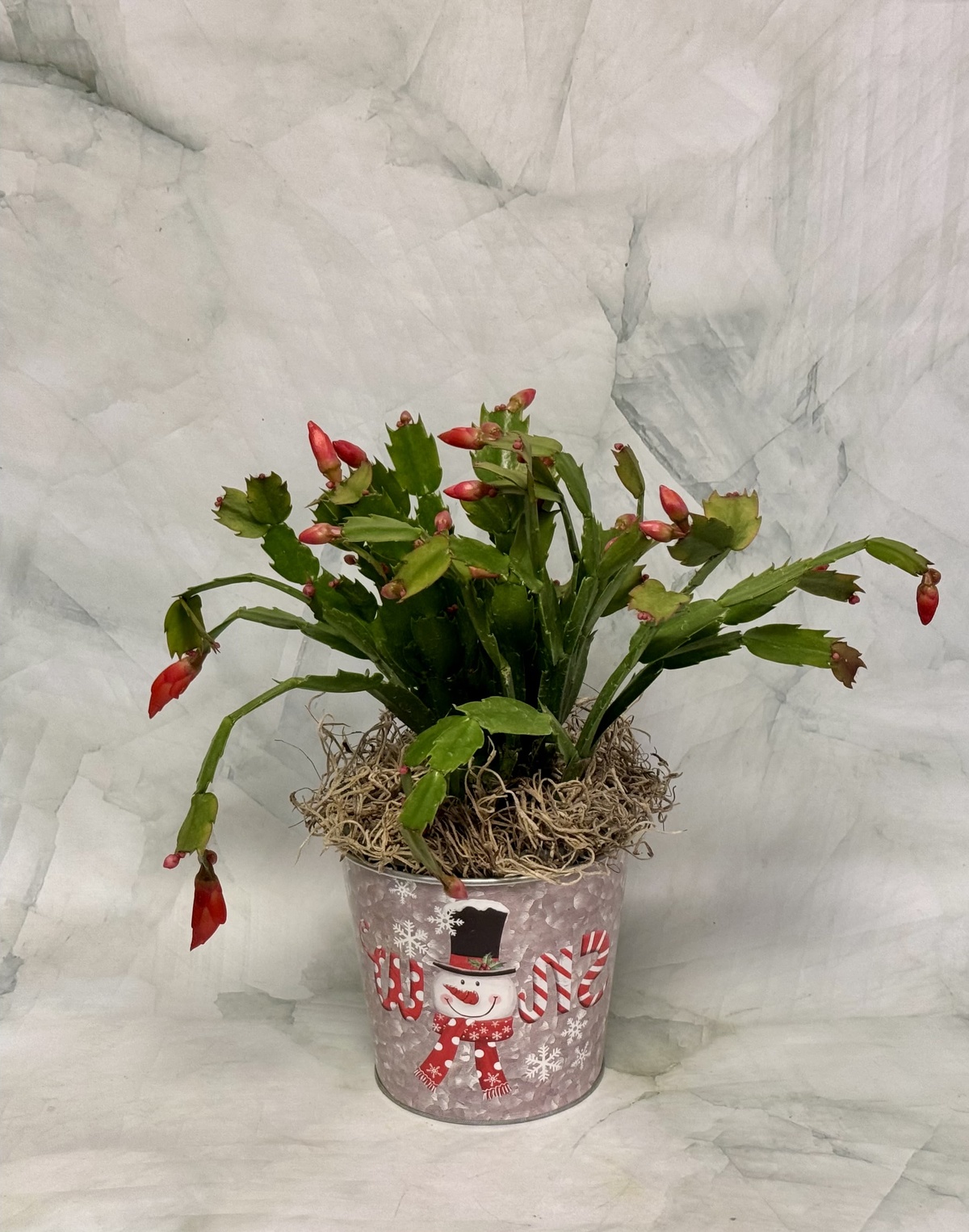 schönes Geschenk zu Weihnachten