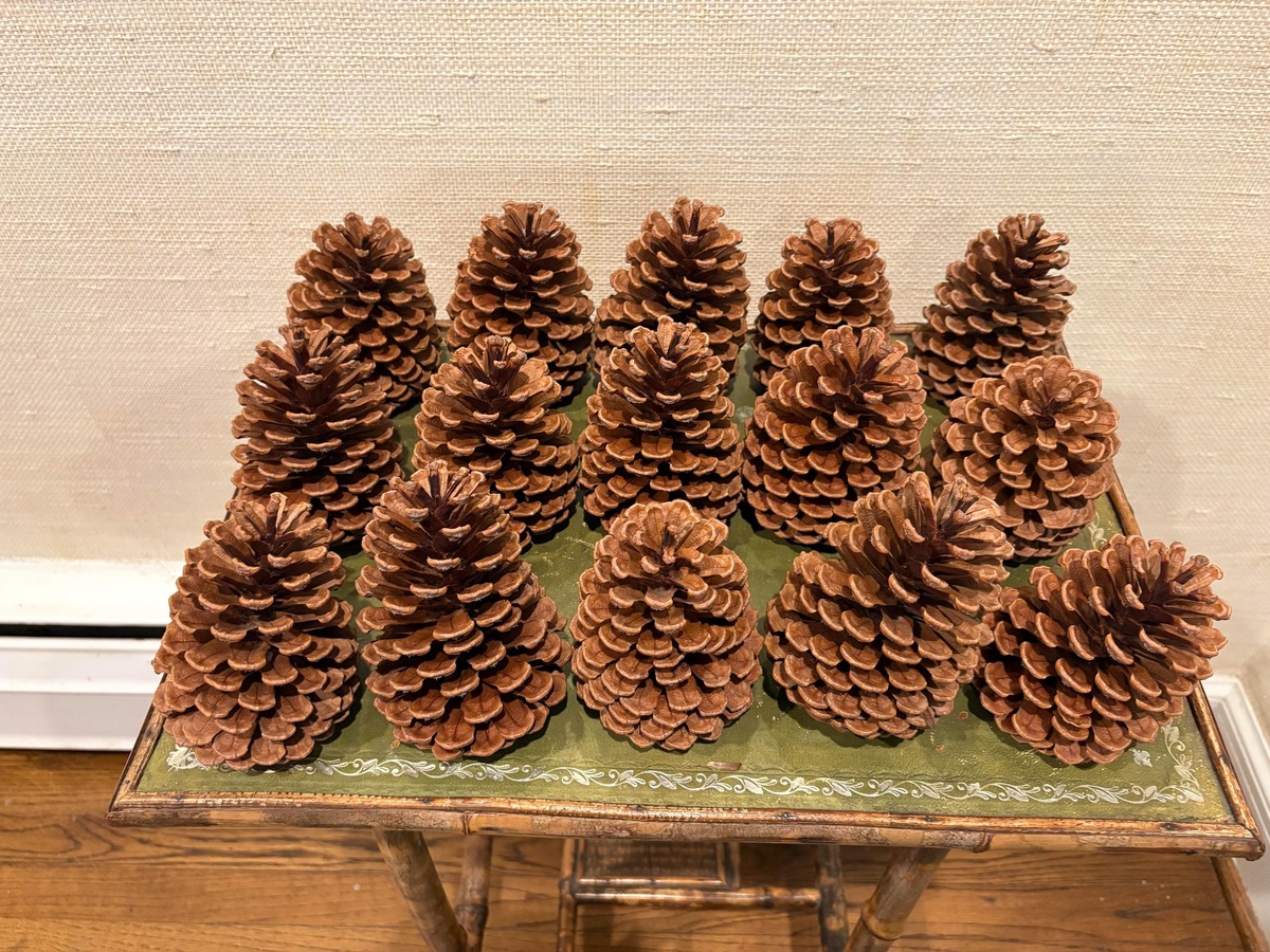 Tannenzapfen sammeln und für dekorative Zwecke vorbereiten 