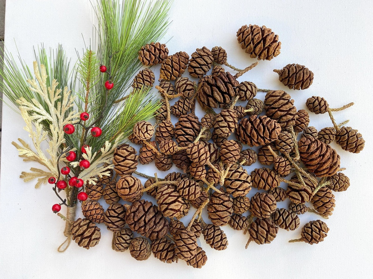 Tannenzapfen, Tannengrün und Stechpalmenzweig - Naturmaterialien für Weihnachtsdeko 