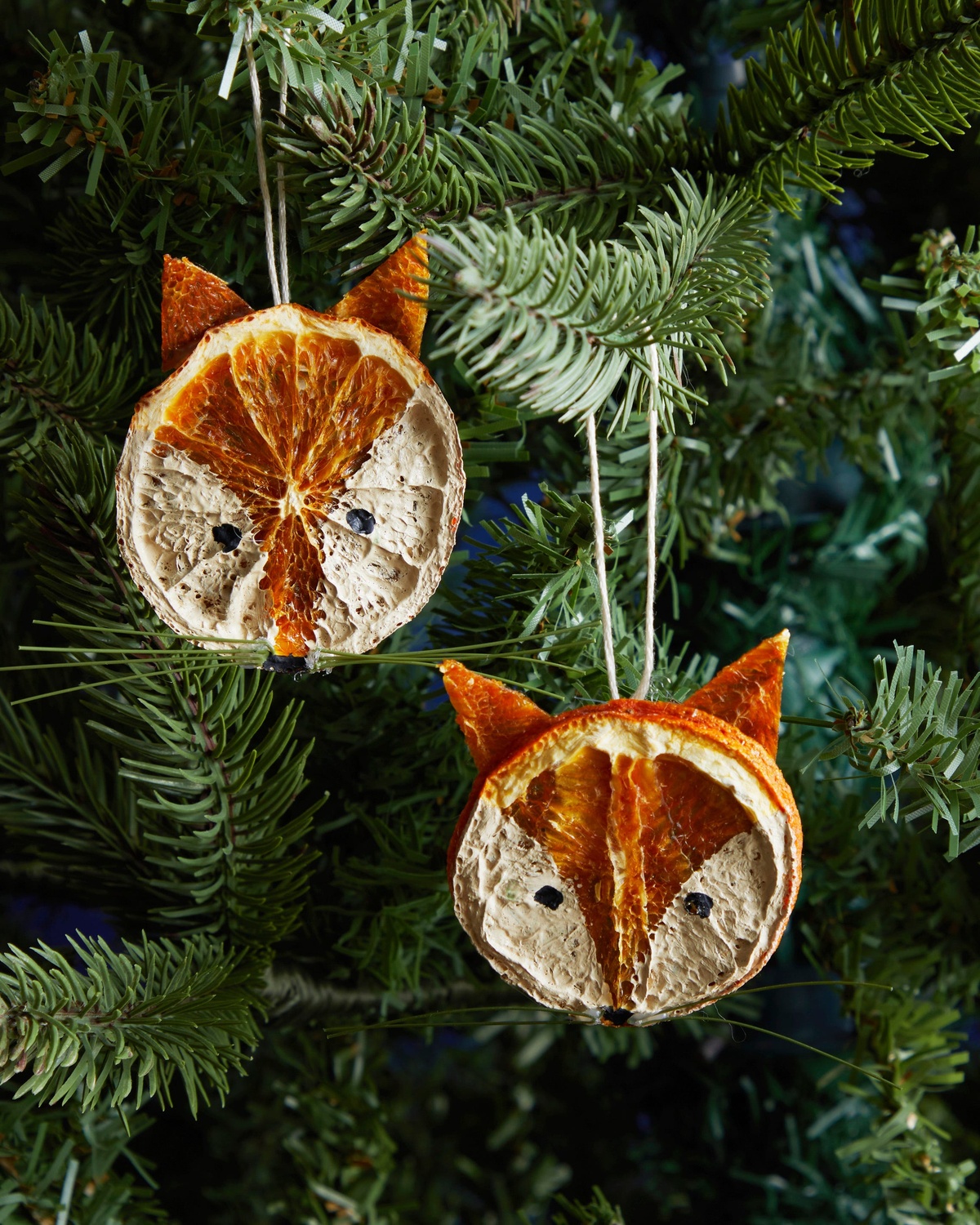 kleine Füchse aus Orangenscheiben als Tannenbaumanhänger